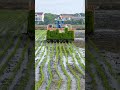 High-Speed Automatic Rice Transplanter in Action #shorts