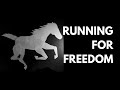 The Invisible Lives of Horses | A Stop Motion Animation by Asya & Barsik