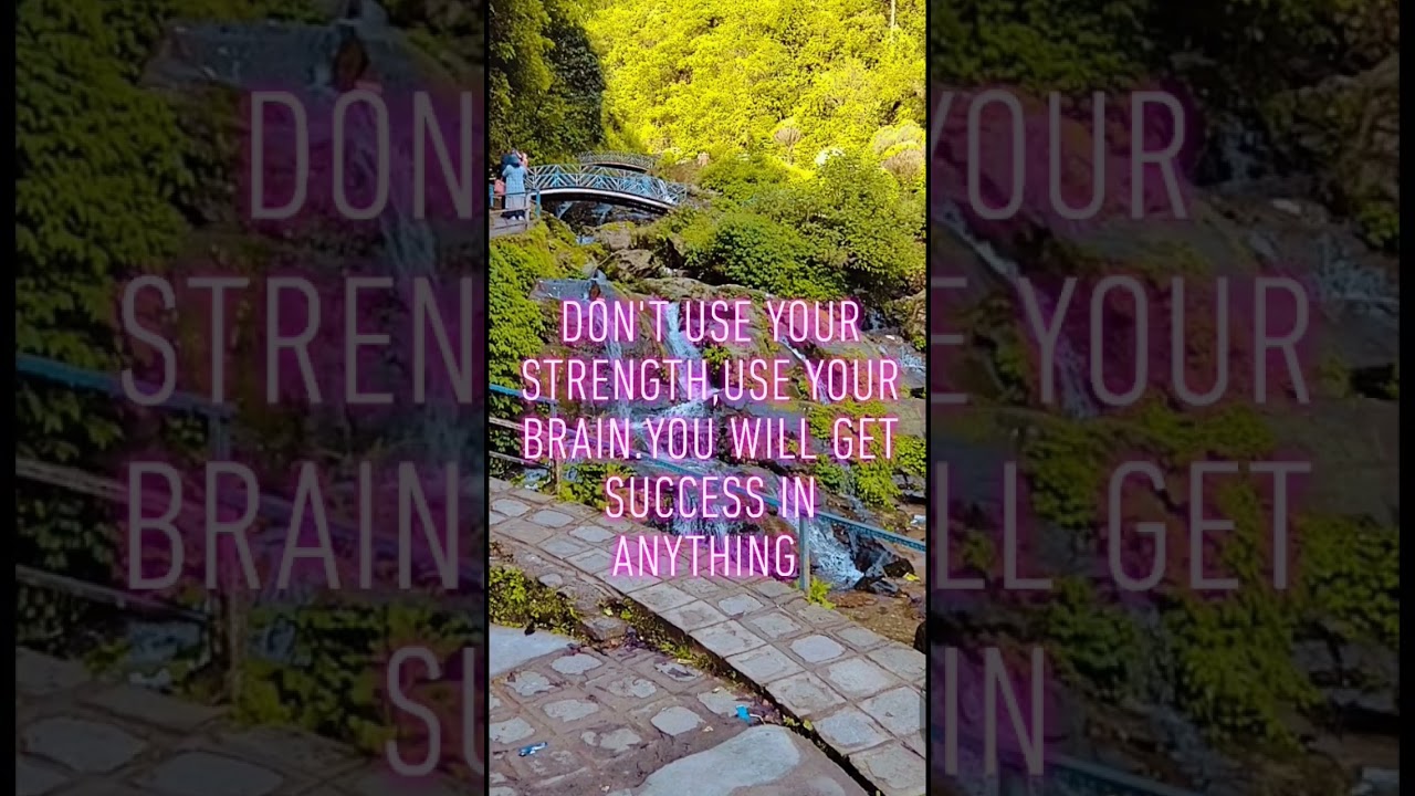 Sigma rule||Success||ungratuated boy||