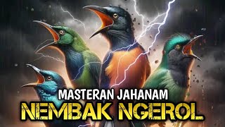 MASTERAN KASAR Ngerol Nembak Panjang Untuk Murai Batu Full Isian @masterburungkicau