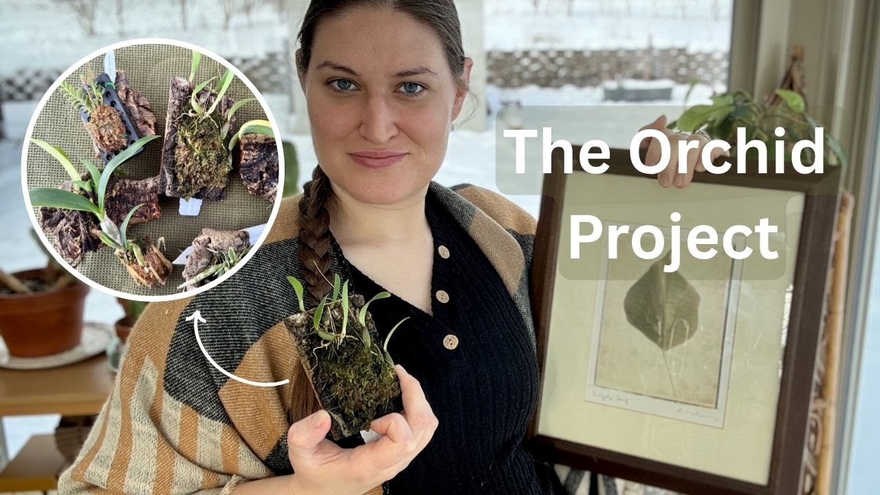 Orchid Haul + Thrifted Decor | Mounting & Styling My Bathroom for Cozy Plant Vibes