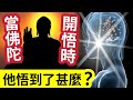 #佛禪 你知道嗎？佛陀『悟道那一刻』悟到了什麼？最先告訴我們什麼？貴為王子「榮華富貴都不要」原來我們「這樣做」都可以成佛！#佛誔