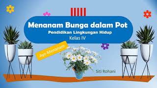 PLH Kelas 4 -   Menanam Bunga dalam Pot - Ayo Menanam