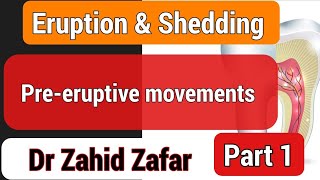 Part1  Pre-eruptive movements (Eruption & Shedding) #tencate #dentallectures #preeruptivemovements