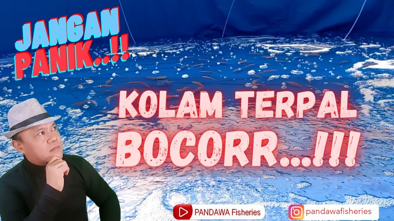 Tutorial : Kolam Terpal Bocor ?? .... Jangan Panik..!! #bioflok #tutorial #ikannila #kolamterpal