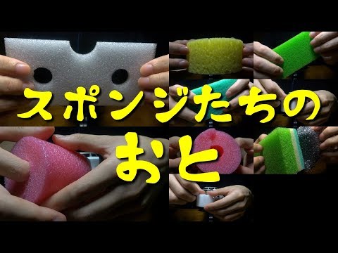 ASMR | 様々なスポンジの音 | Sponge Trigger For Your Sleep & Relaxation