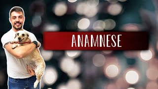 O que é ANAMNESE e qual sua importância?