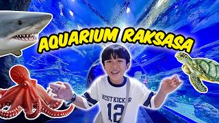 Enter the Sea World! Take a Walk at BXSea Aquarium - Kyo's World