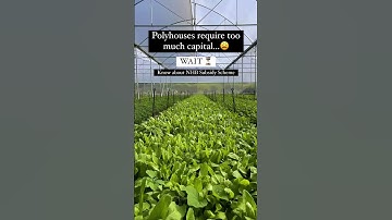 National Horticulture Board 🇮🇳 Poly house Subsidy Scheme