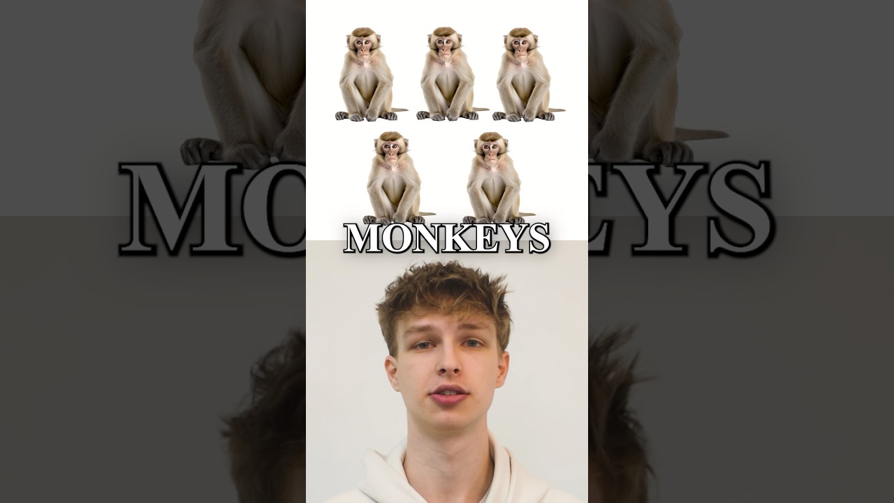 Mushrooms Improved Monkeys Health!? 