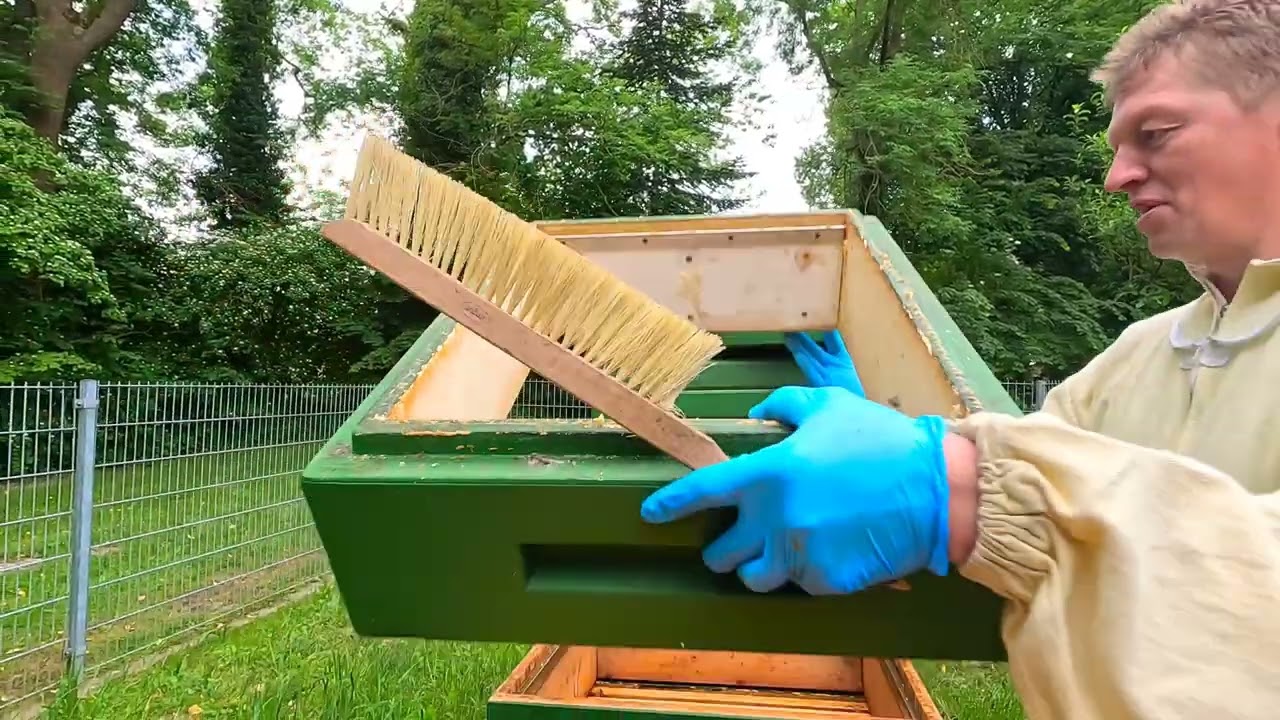 Besuch beim Imkerverein Rothenuffeln ...und seinen Bienen im Kurpark des Luftkurortes Rothenuffeln.