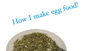 How and why I make egg food for my birds!