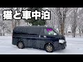 【猫と冬の車中泊旅】雪道を350㎞。海の見える場所で車中泊。山形の家は想像以上でした。