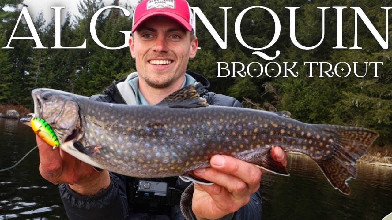 Early Spring BROOK TROUT in the ALGONQUIN Backcountry | 5 DAY Ice Out Canoe Trip (FULL DOCUMENTARY)