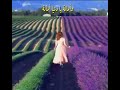 وتخلي الحزن بعيد عنا نجومي