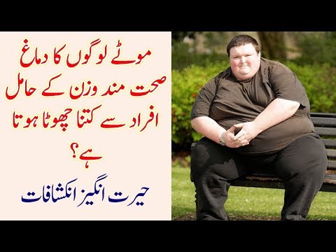 Overweight People Have Smaller Brain Than Others, Scientists' Research - YouTube
