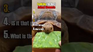 Ranking The Best Animal Moments (Pt.2) #ranking #animals #viral