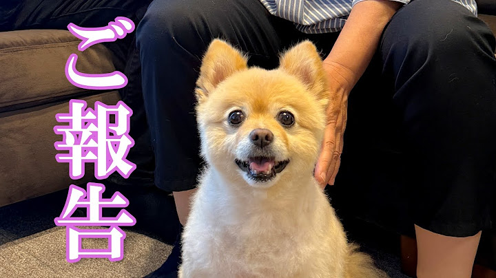 【ご報告】皆様に嬉しいご報告があります！