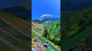 Beautiful scenery #shorts #bestscenery #@NielShaf94