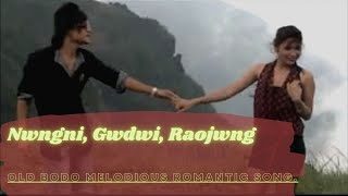 Video thumbnail of "Gwswa Angni Nwngni Gwdwi Raojwng lyrics video | old bodo melodious romantic song | TrackonLyrics"