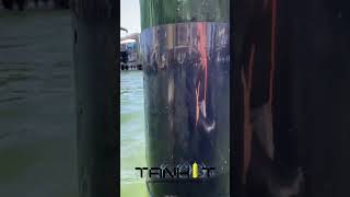 Dock Piling wrap before and after! 4 pilings wrapped on the clients boat lift!