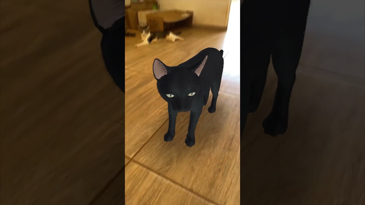 Apareceu um CLONE DO JÚLIO aqui em casa! 😱😱😱😱😱😱 