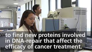 New Study Discovers Cancer-Relevant Protein Shield