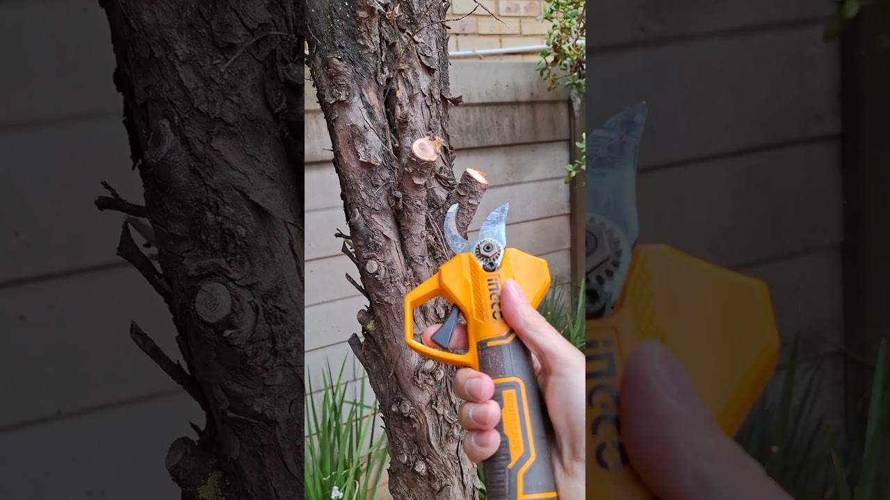 Ingco 20v battery powered pruning shears test. 