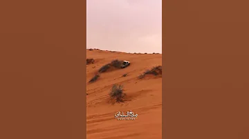 ١٥ أبريل ٢٠٢٠شيله ياسعد ليت العرب كلهم دير 