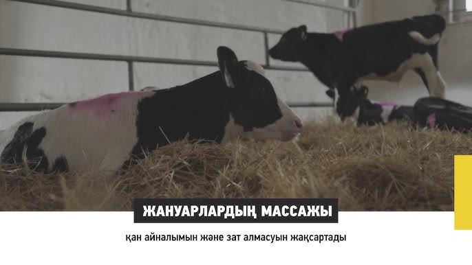 Үйдегі веб-камера