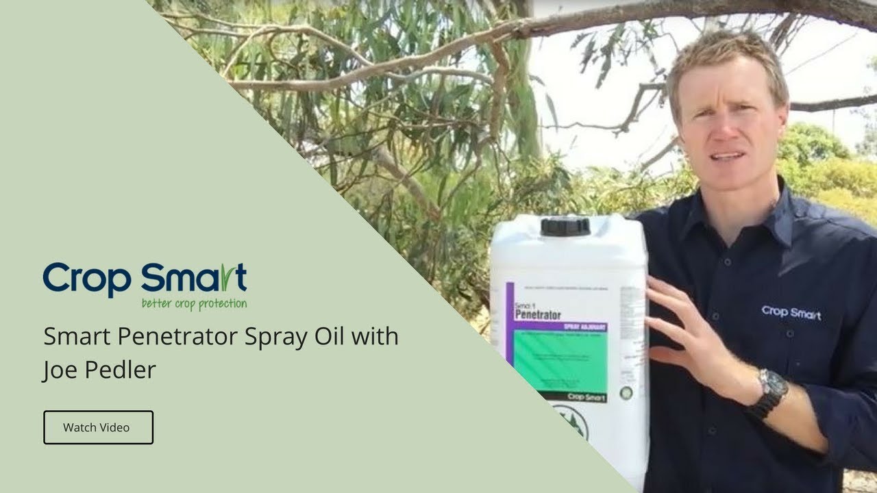 Smart Penetrator Spray Oil