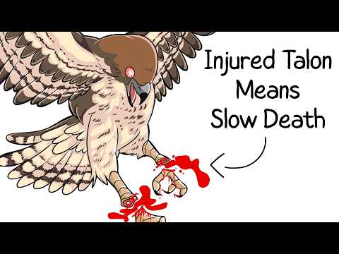 Why It Sucks To Be Born As a Hawk