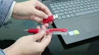 Transparent Body Pen Usb Flash Drive 2.0 3.0 80Mbs Gift Usb Stick