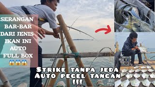 KALAU IKAN SUDAH MULAI MASUK DI BAGAN INI AUTO PEGEL NARIK TANPA HENTI || BAGAN VIRAL TANJUNG KAIT