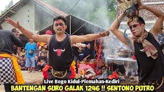 Download Lagu Bantengan Suro Galak Poll❗Jaranan SENTONO PUTRO Live Bogo Kidul Plemahan Kediri MP3