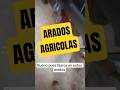 Arados agrícolas #campo #agricultura #agricultor #agriculture #agricultores
