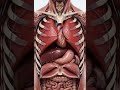 Real Movement of Lungs and Heart Inside Your Body | Lungs in Action