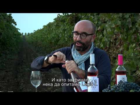 Видео: Искате да замърсите името на виното? Как да помогнем с тазгодишната реколта