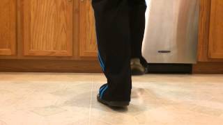Charleston - Clogging Step