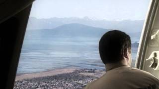 How To Throw A Cat From An Airplane Green Screen