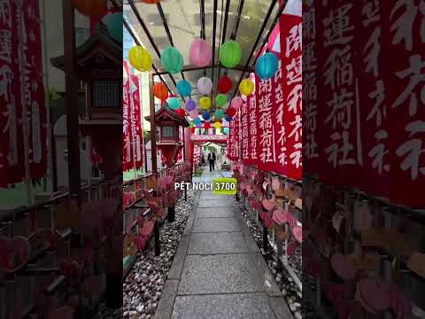 Video: Nejpřekvapivější turistické atrakce Japonska