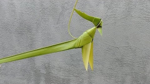 Hướng dẫn làm con chim bằng lá dừa 3 (đơn giản)