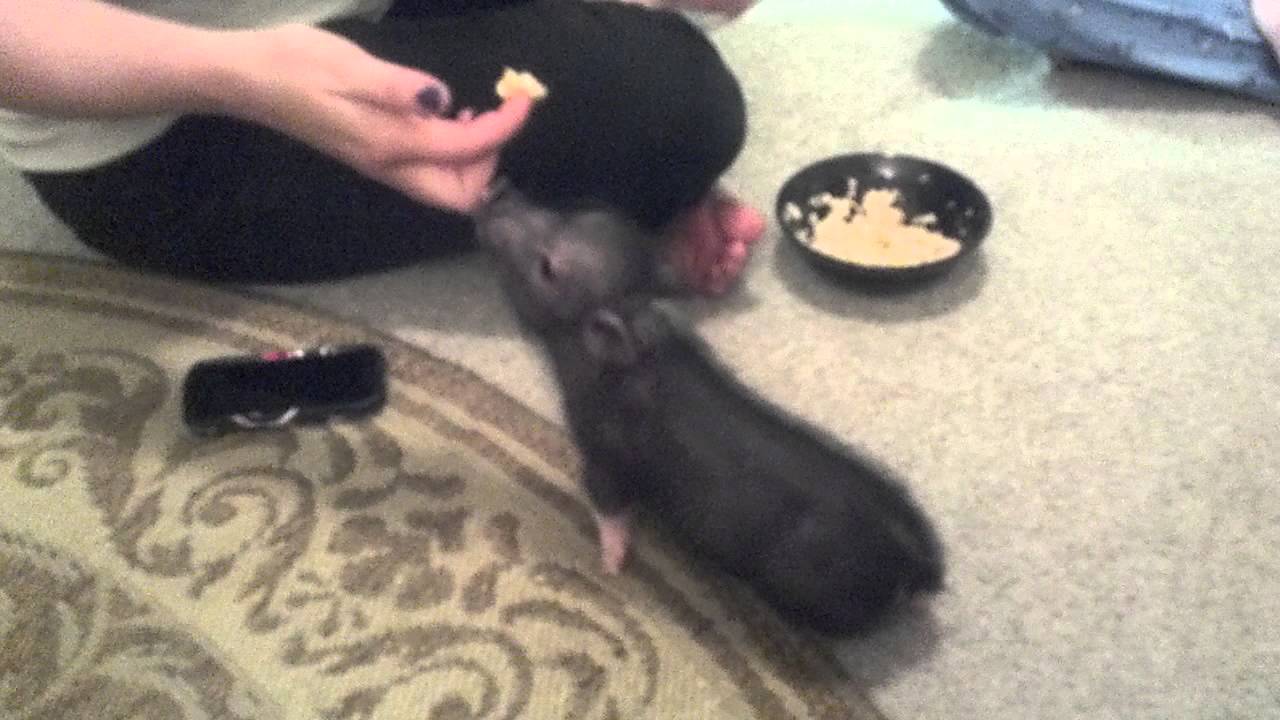 Lilly eats oatmeal for the first time. - YouTube