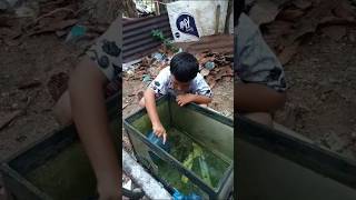 serok ikan #subscribe #funny #trending #shorts