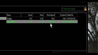 A VPN may speed up your torrent download speed (Avira) screenshot 3