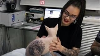 Healing Crystal Toys New Scam Uses Your Voice The Lipo Breast Lift