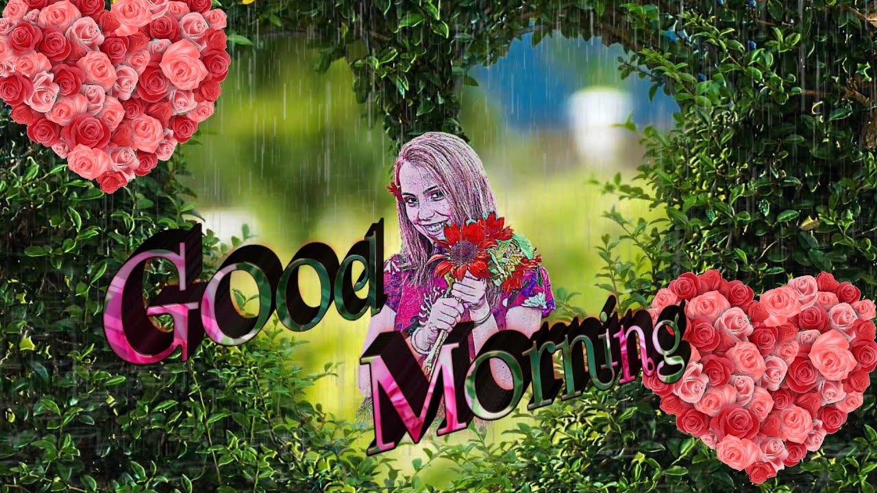 Good morning whatsApp status video // beautiful stutas video // good morning falawar  