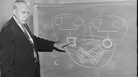 Differentiation of Self in a Family