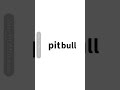 pitbull terrier|lyrical video|#lyricvideo #pitbull #terrier