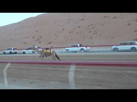 الشوط 1 خيره ل سهيل ثعيلب صقر العامري توقيت 6 30 9
